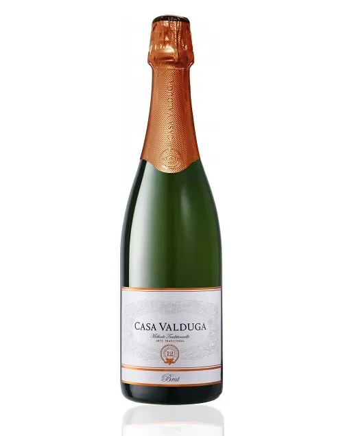 casa-valduga-arte-brut-750-ml_1_2000.webp