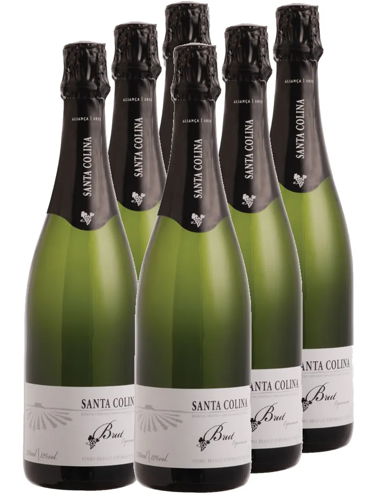 cx-6-un-espumante-santa-colina-brut_1_2000.webp