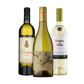 Kit Vinho Todo Dia –  Branco Frescor e Sofisticação