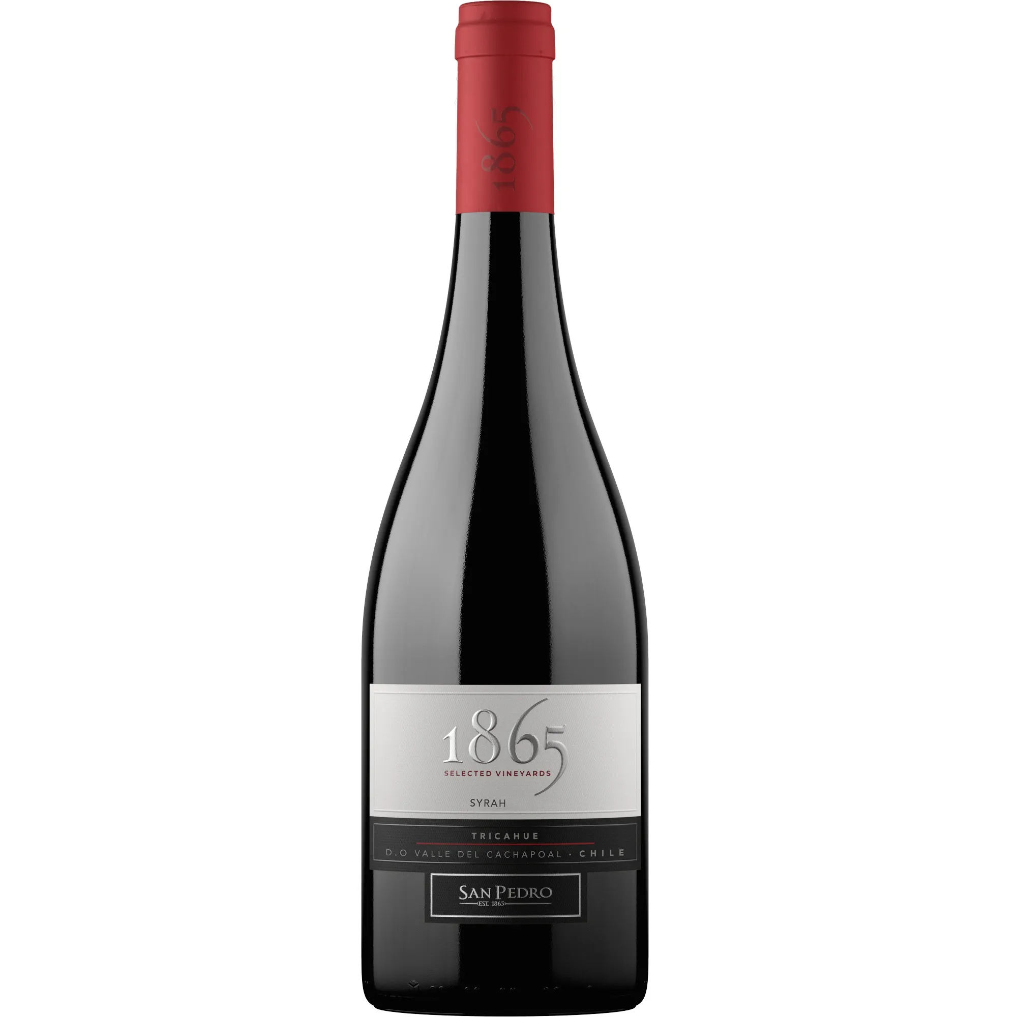 Vinho 1865 Single Vineyard Syrah 750ml Vinho 1865 Single Vineyard Syrah 750ml