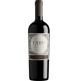 Vinho Cabo de Hornos Cabernet Sauvignon 750 ml