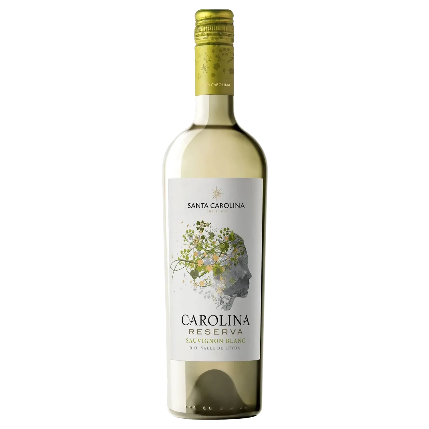 Vinho Carolina Reserva Sauvignon Blanc 750 ml Vinho Carolina Reserva Sauvignon Blanc 750 ml