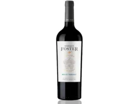 Vinho Enrique Foster Petit Verdot 750 ml