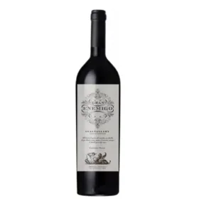 Vinho Gran Enemigo Gualtallary Cabernet Franc 750ml