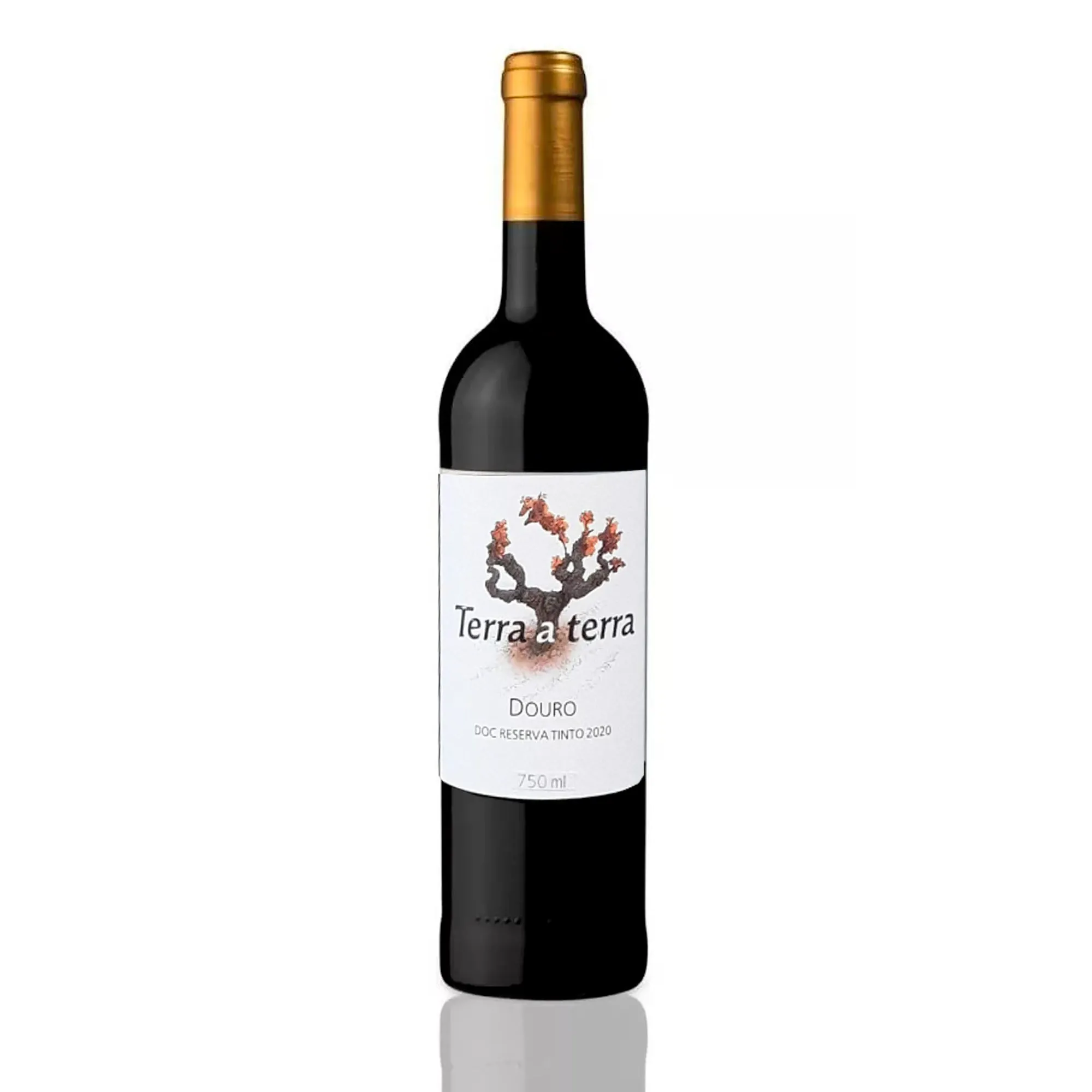 Vinho Terra a Terra Reserva Tinto 750 ml Vinho Terra a Terra Reserva Tinto 750 ml
